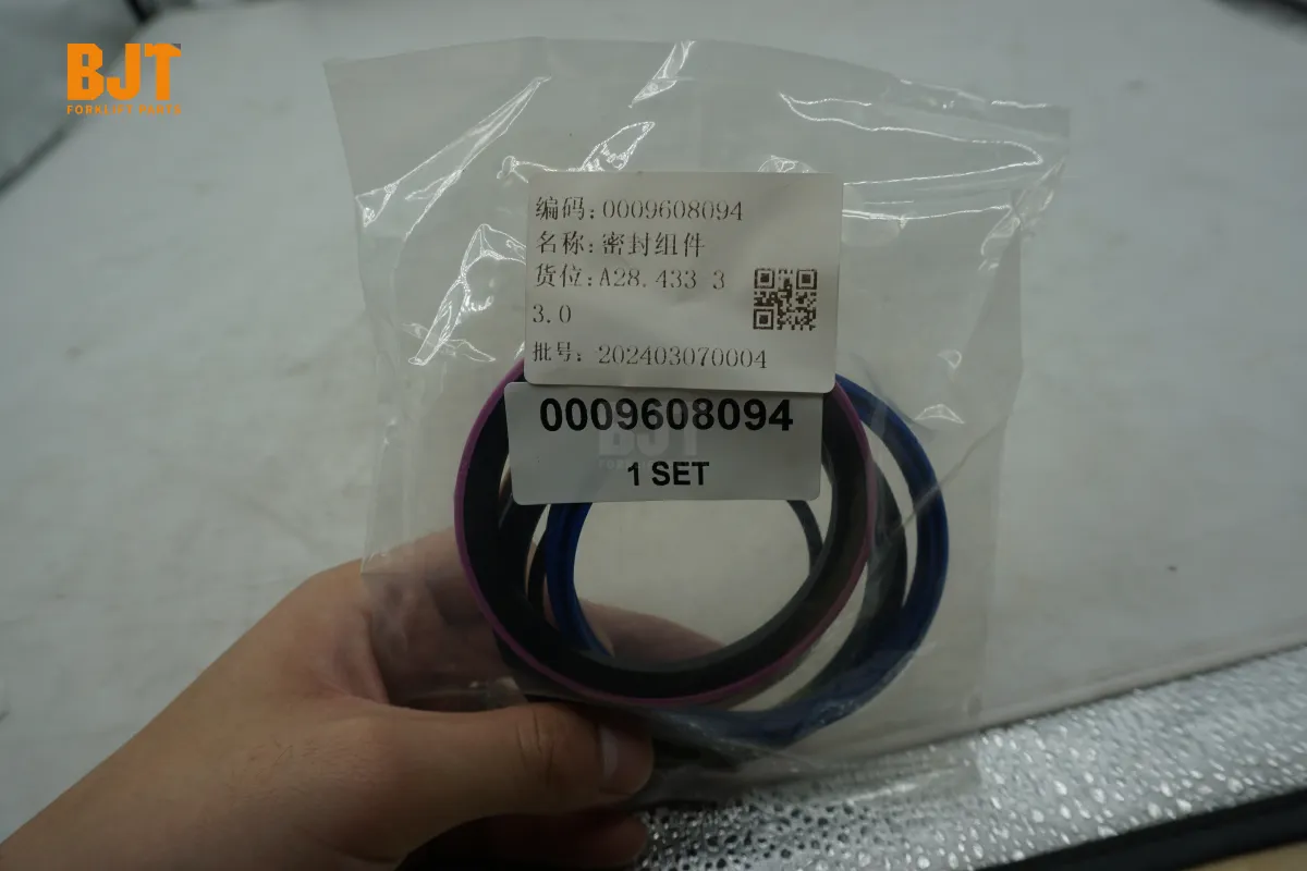 0009608094