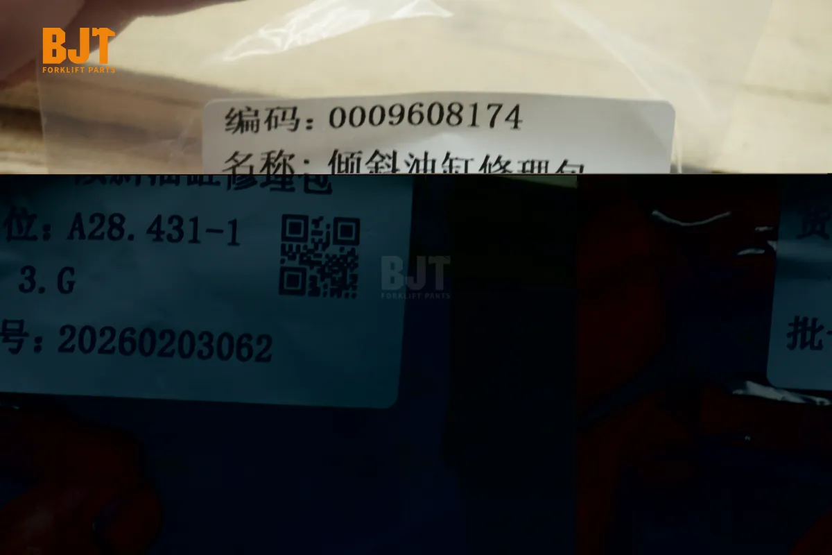 0009608174