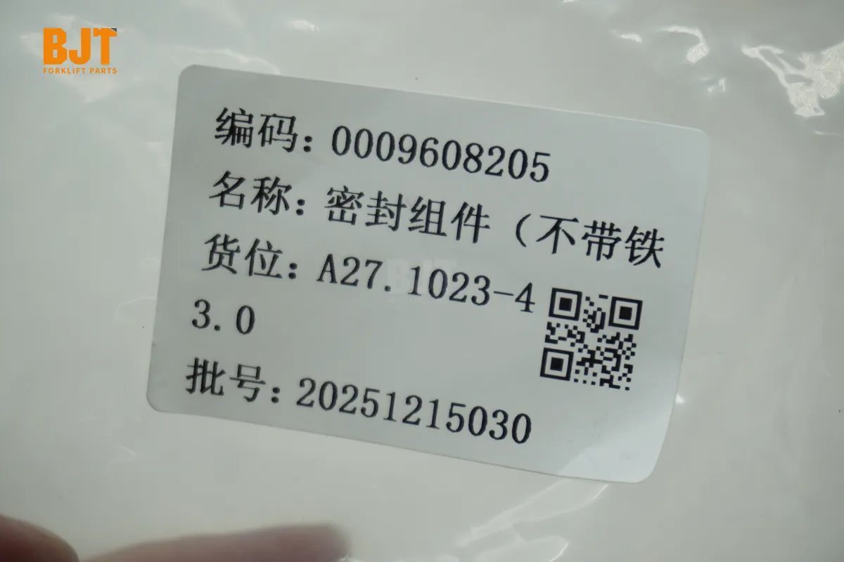 0009608205