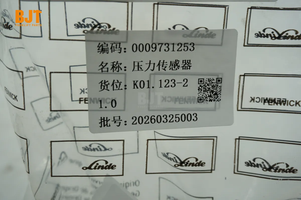 0009731253