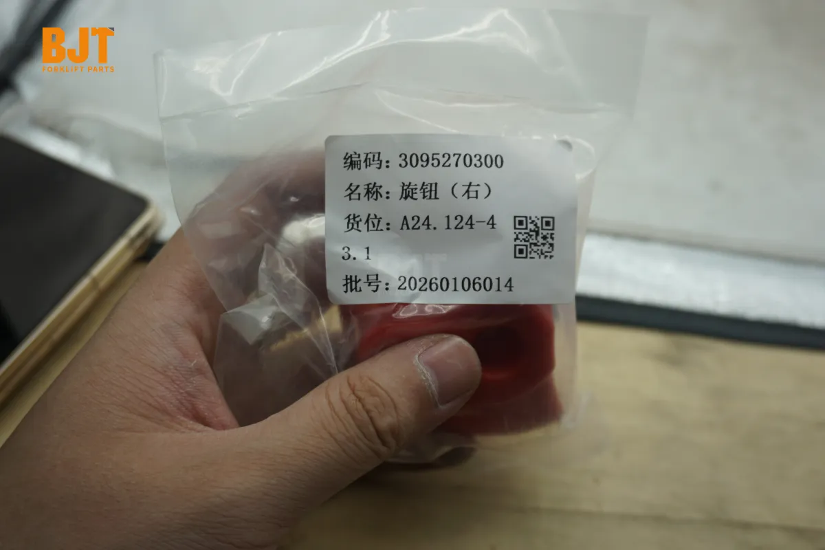 3095270300-C1