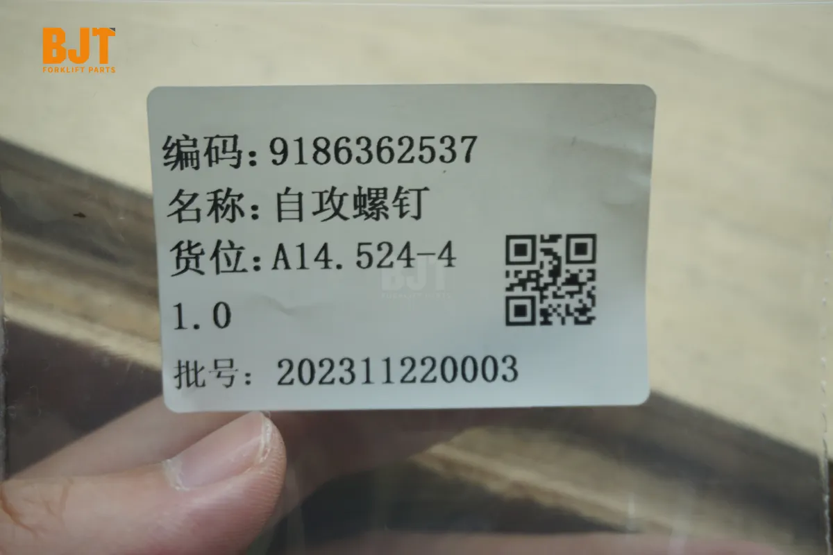 9186362537