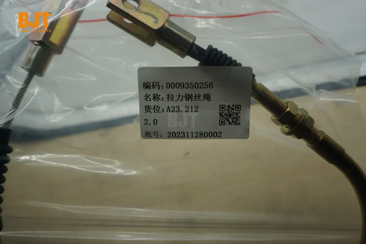 0009350256