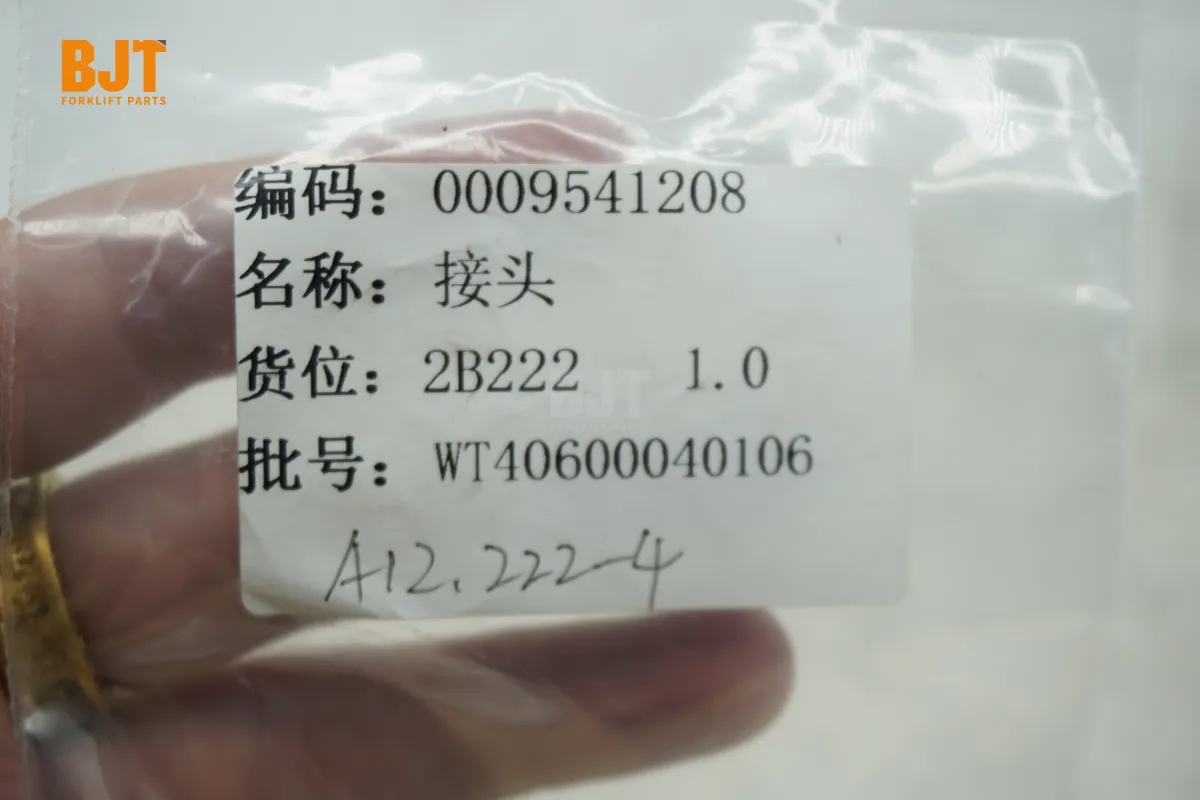 0009541208
