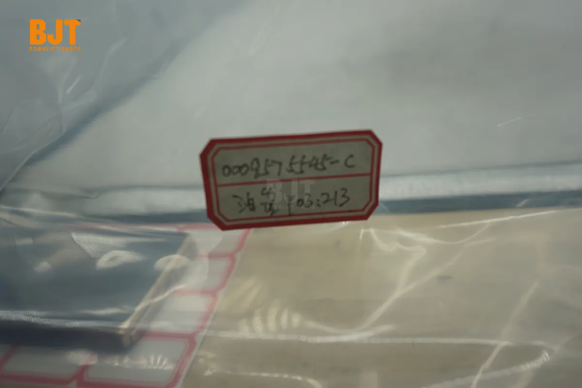 0009575545