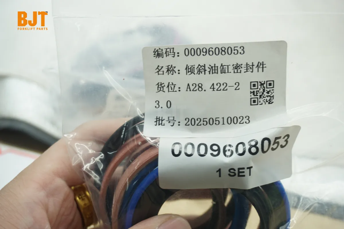 0009608053