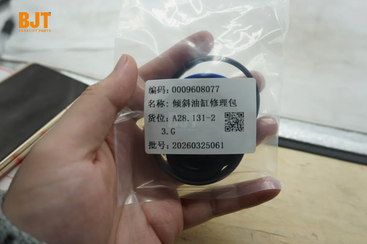 0009608077