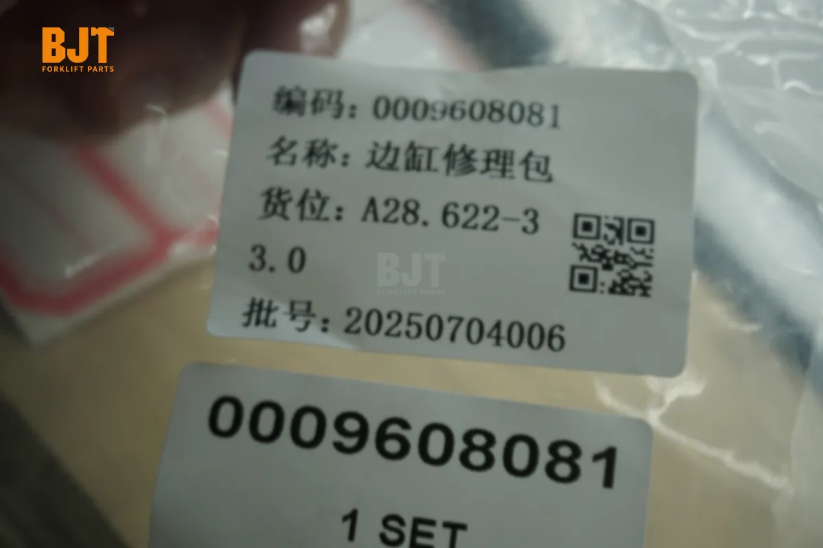 0009608081
