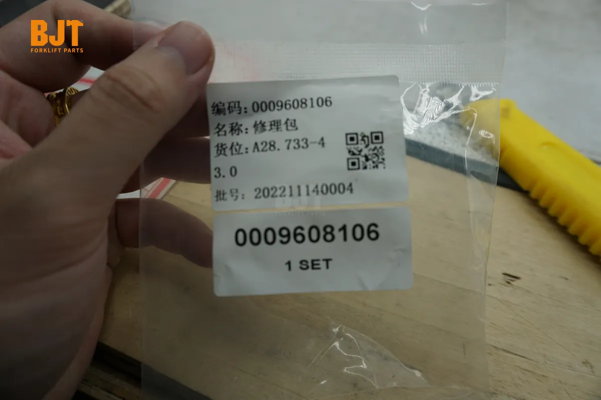 0009608106