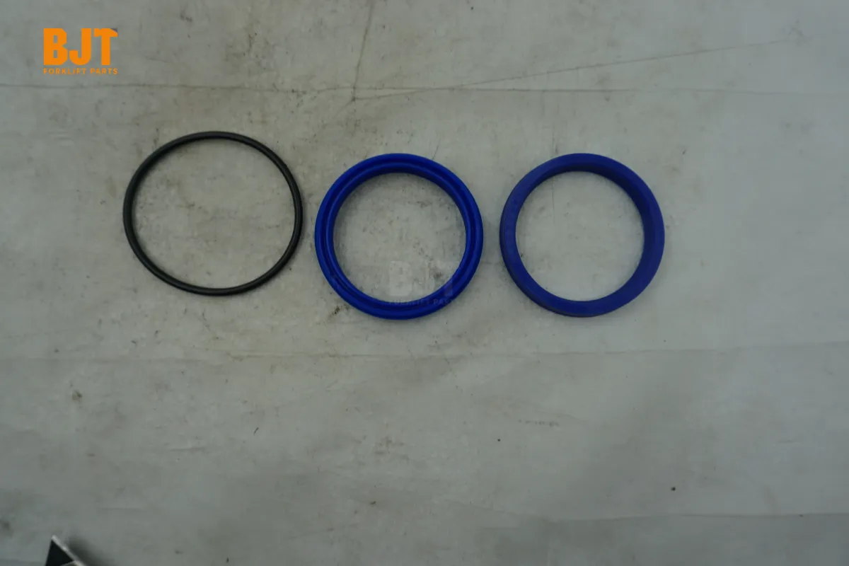 0009608106