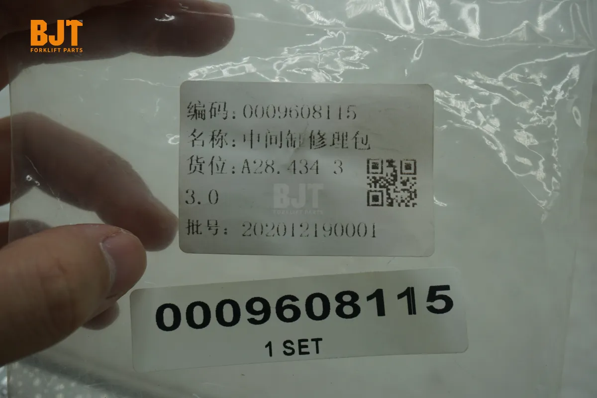 0009608115