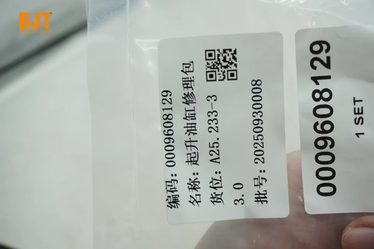 0009608129