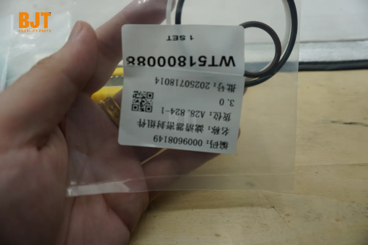 0009608149