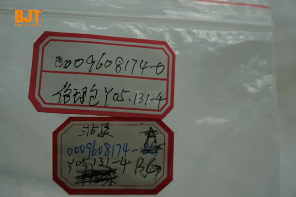 0009608174