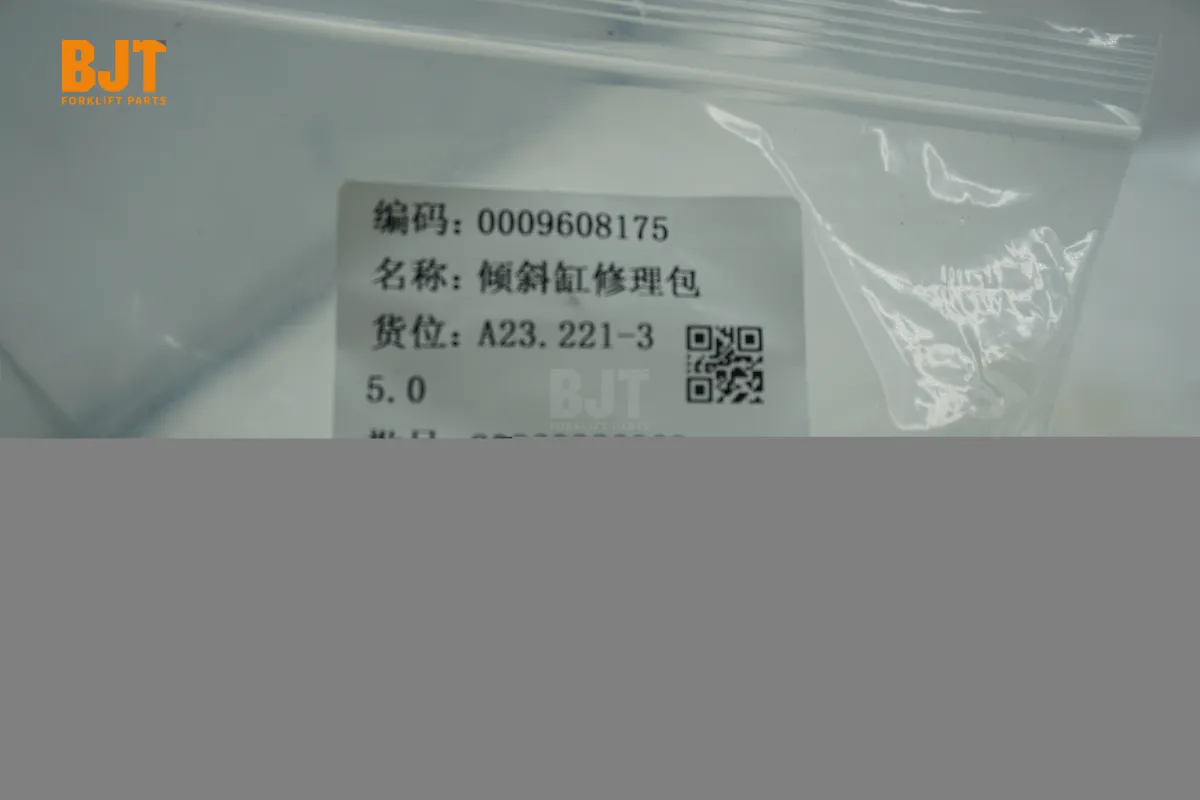 0009608175