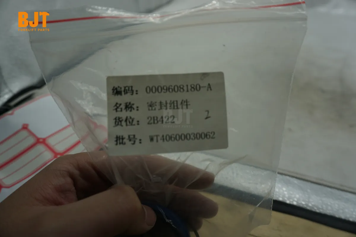 0009608180