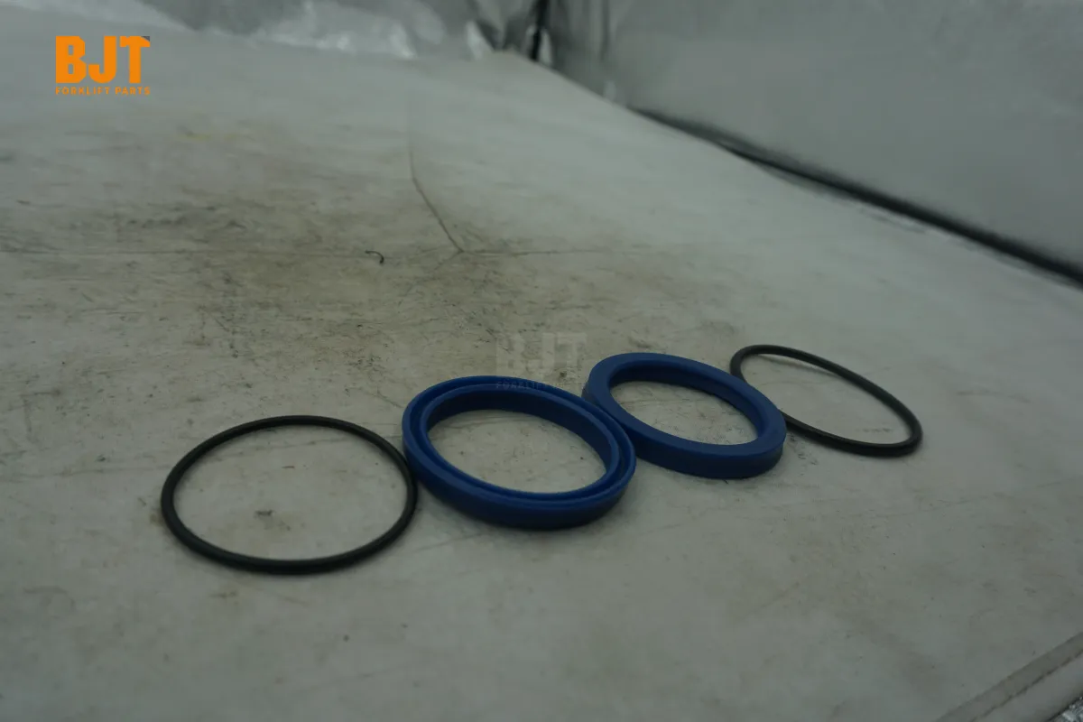 0009608180