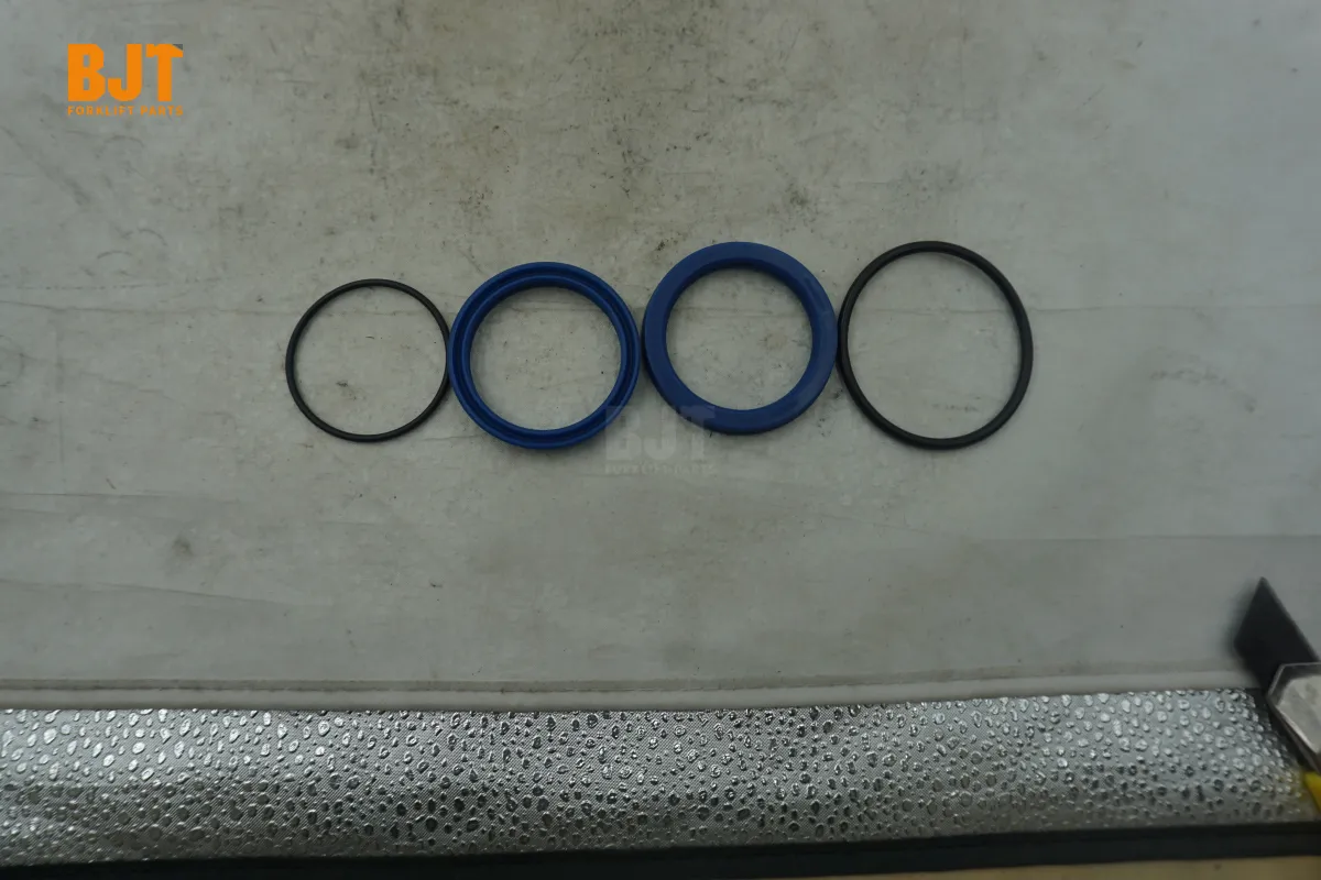 0009608180