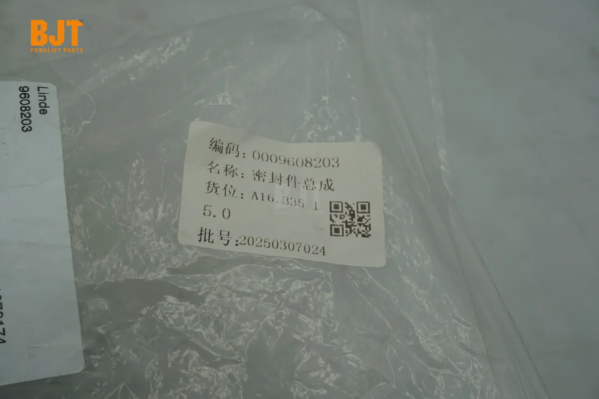 0009608203