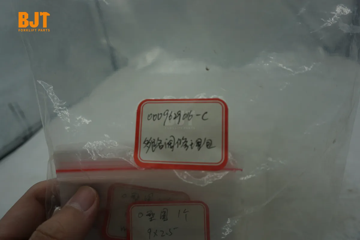 0009629016