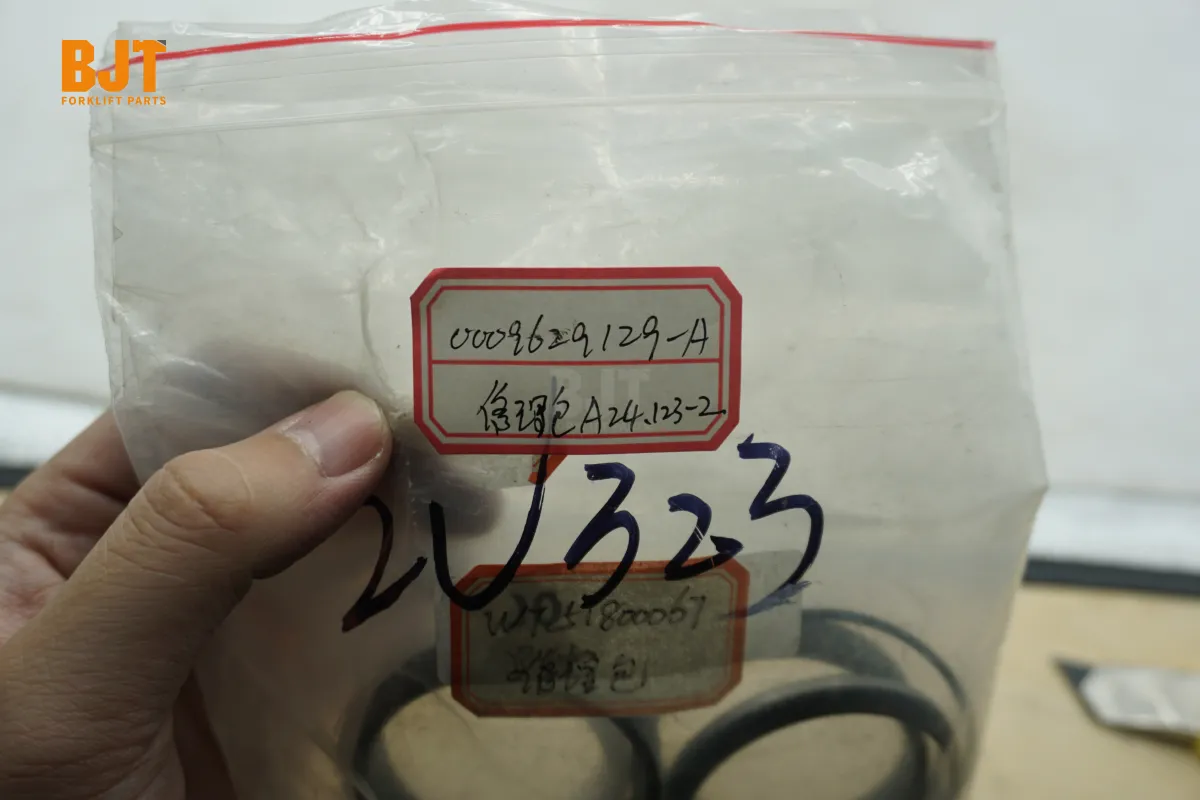 0009629129