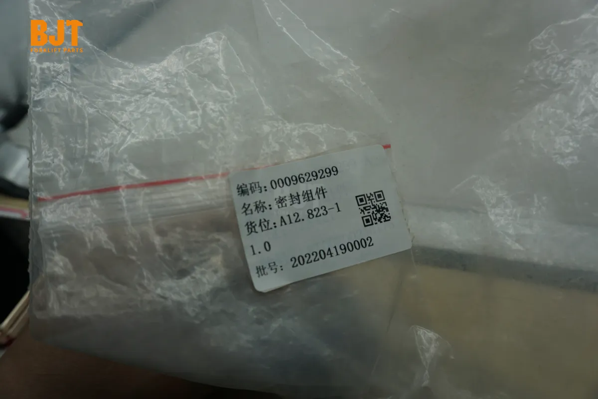 0009629299