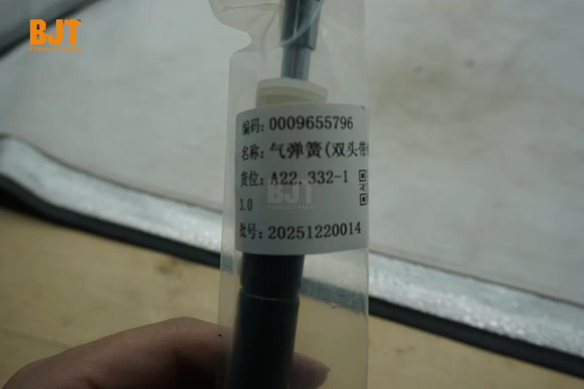 0009655796