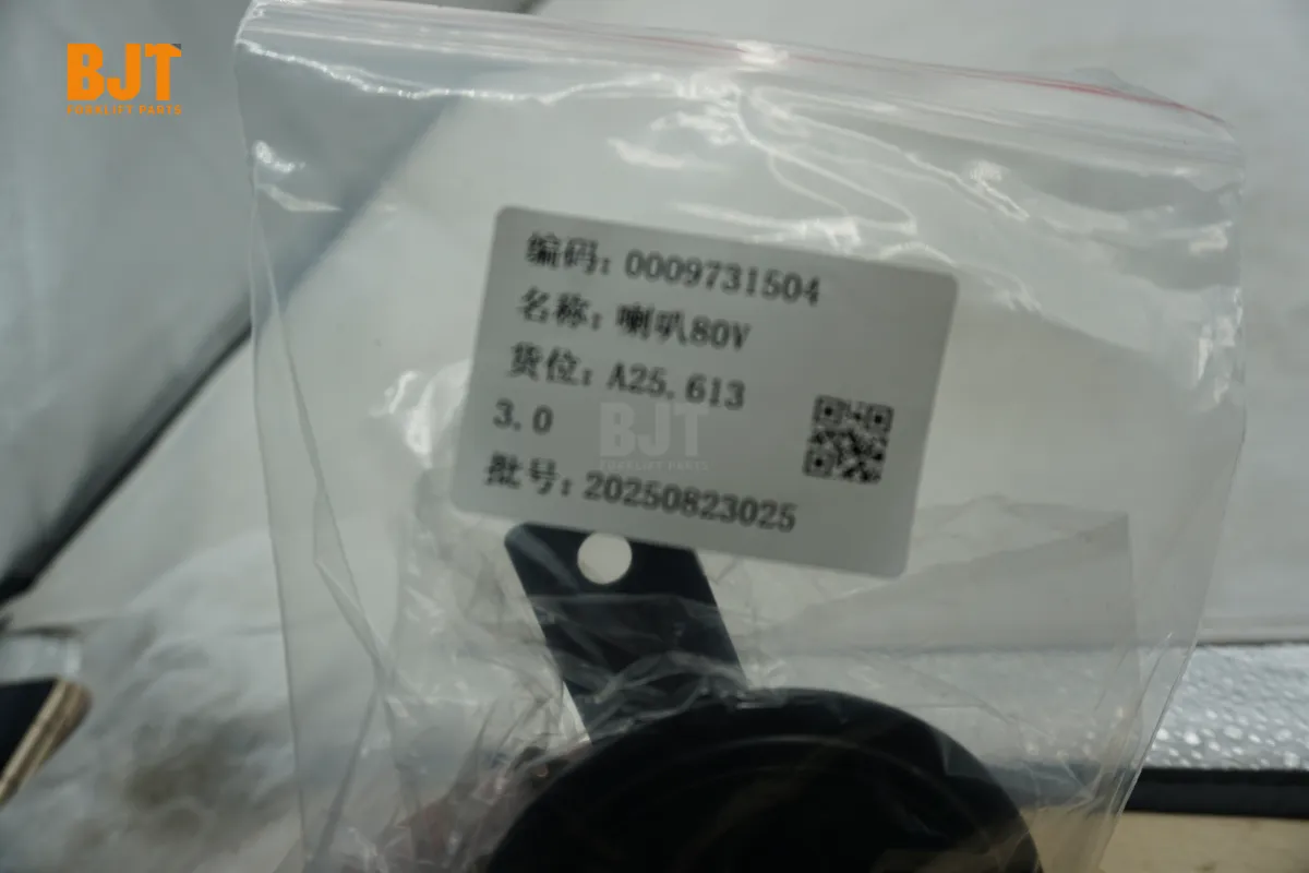 0009731504