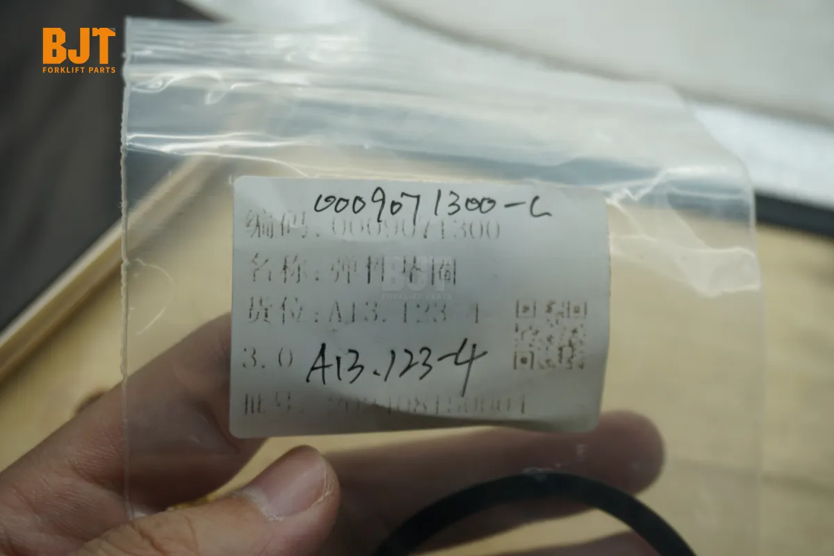 0009071300