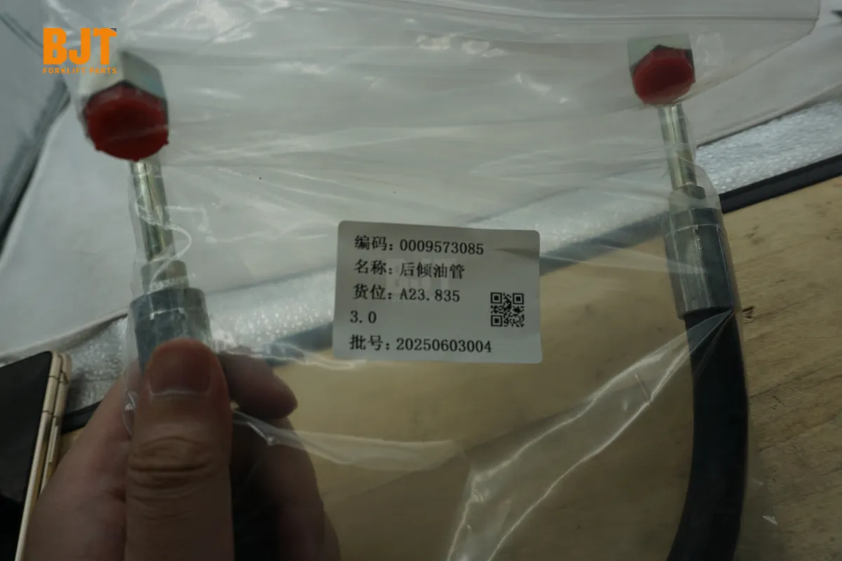 0009573085