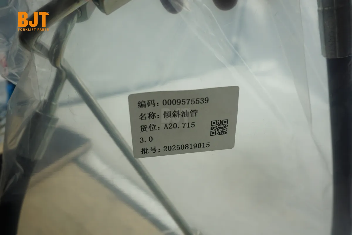 0009575539
