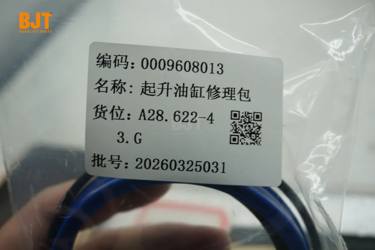 0009608013