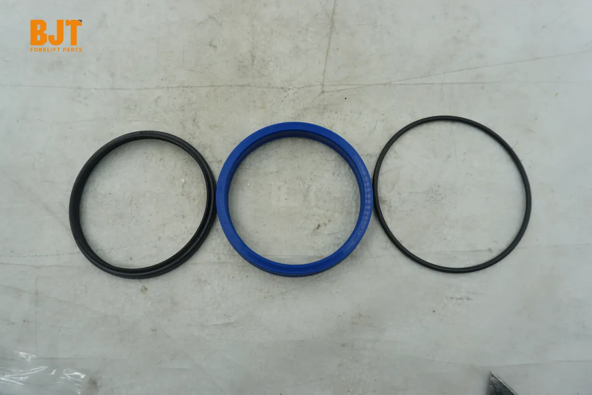 0009608013