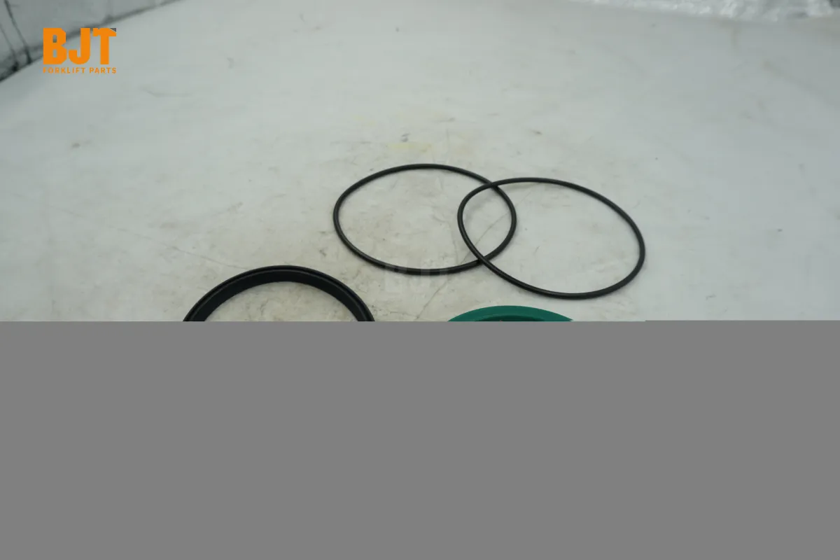 0009608015