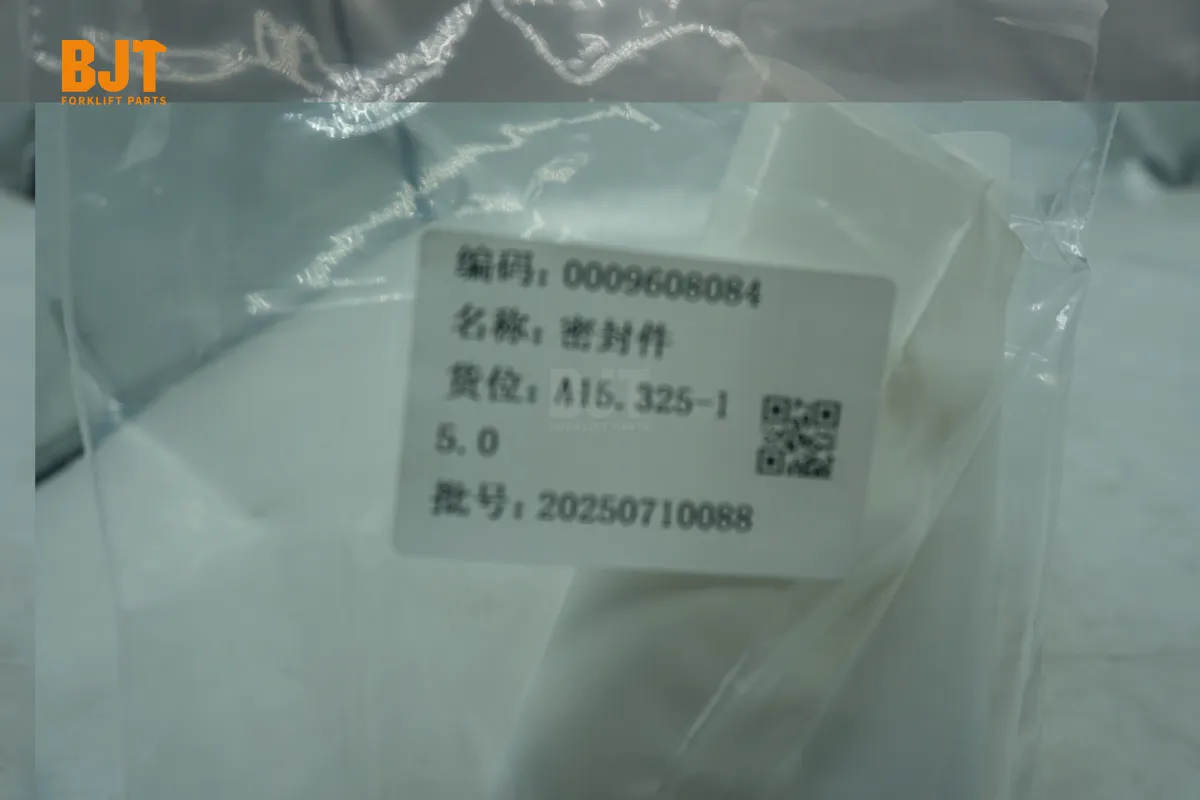 0009608084