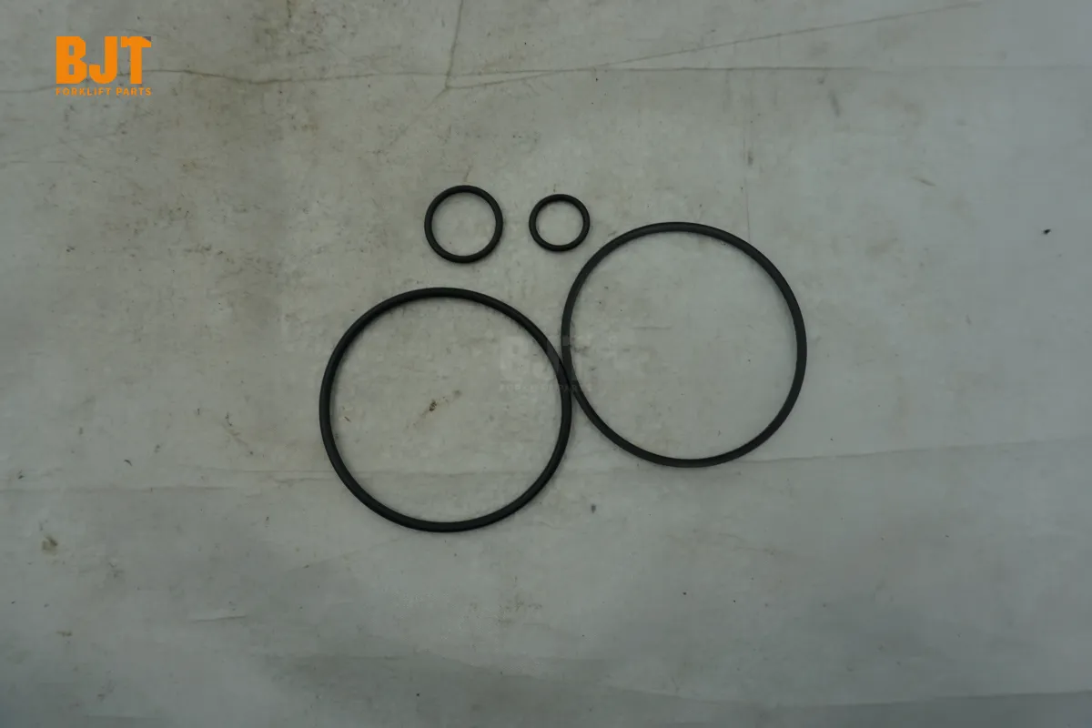 0009608084