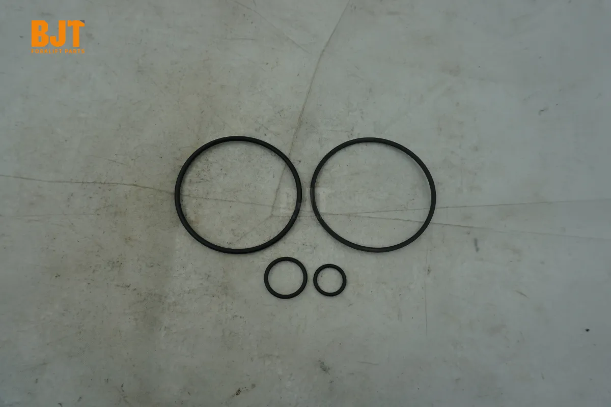 0009608084