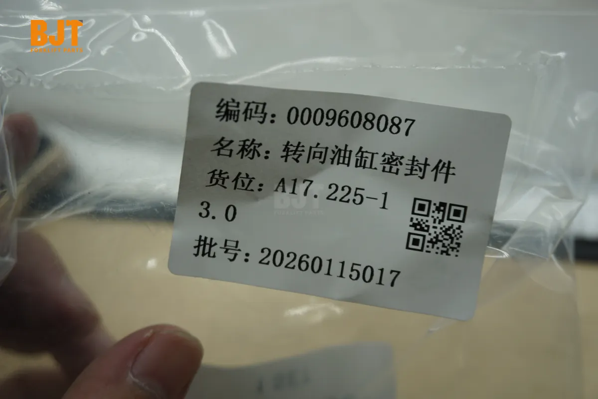 0009608087