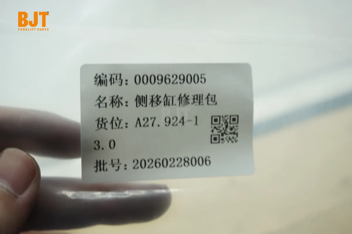 0009629005