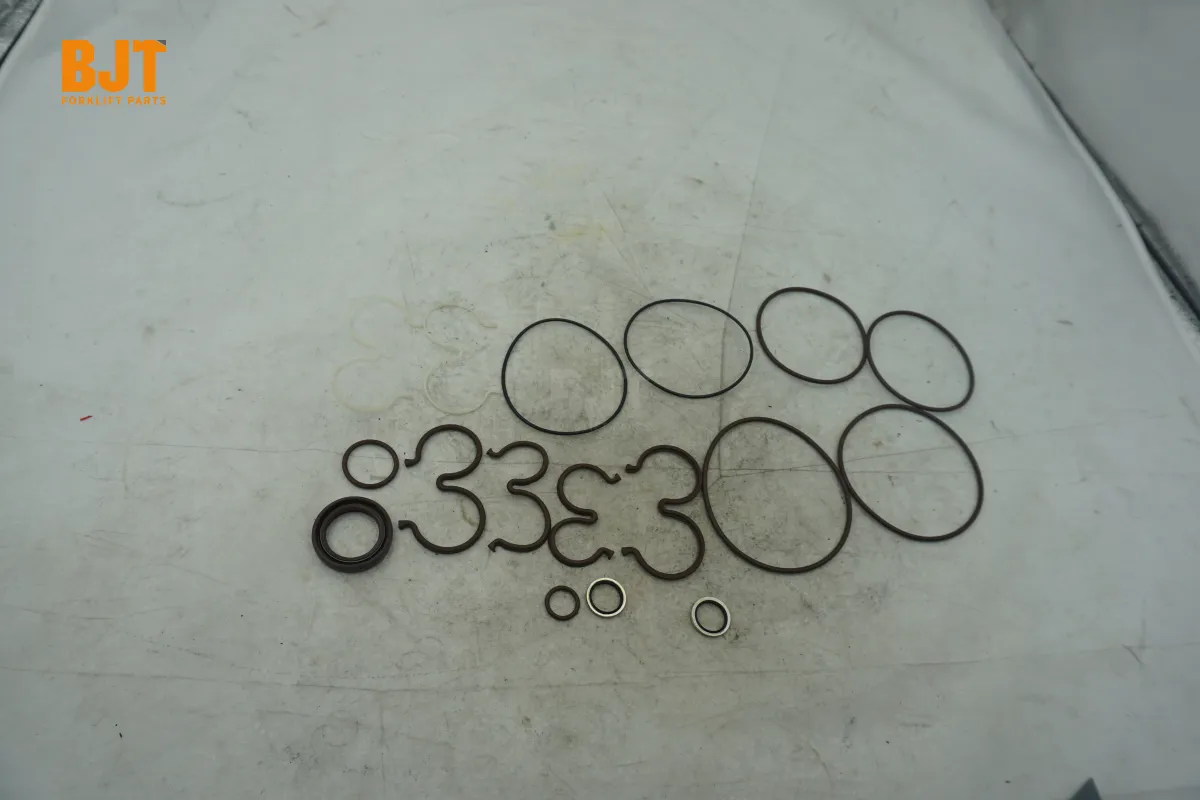 0009629131