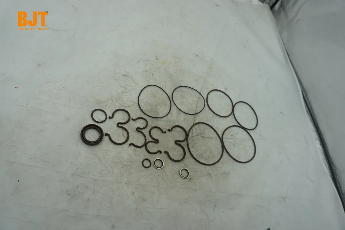 0009629131