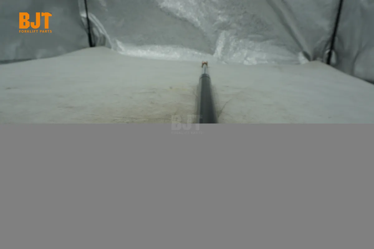 0009655512