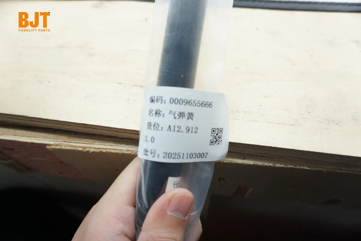 0009655666
