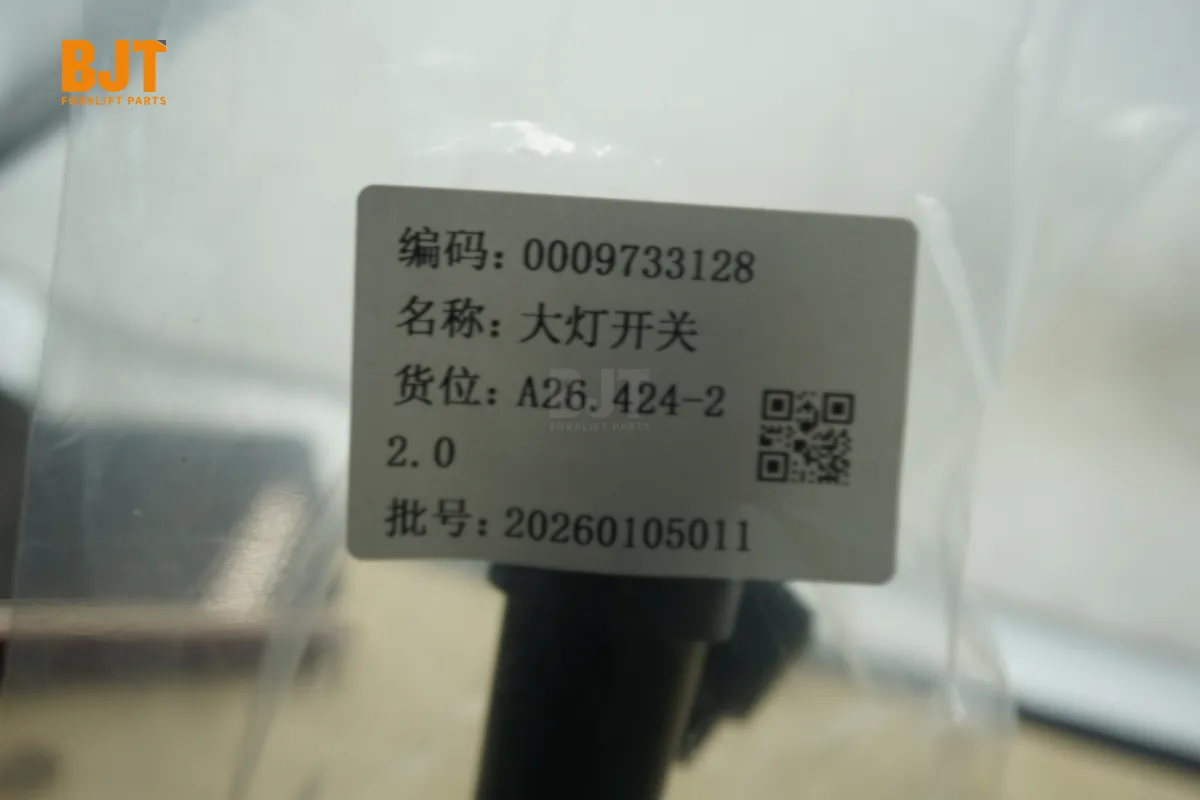 0009733128