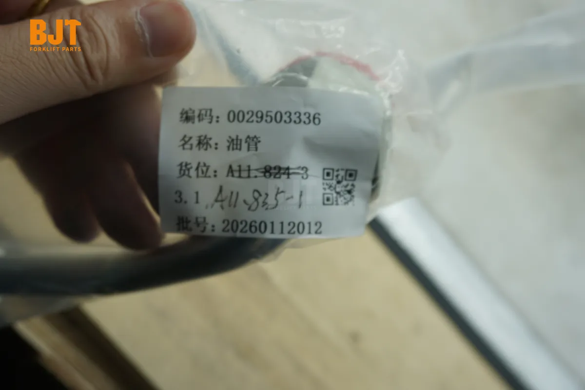 0029503336-C1
