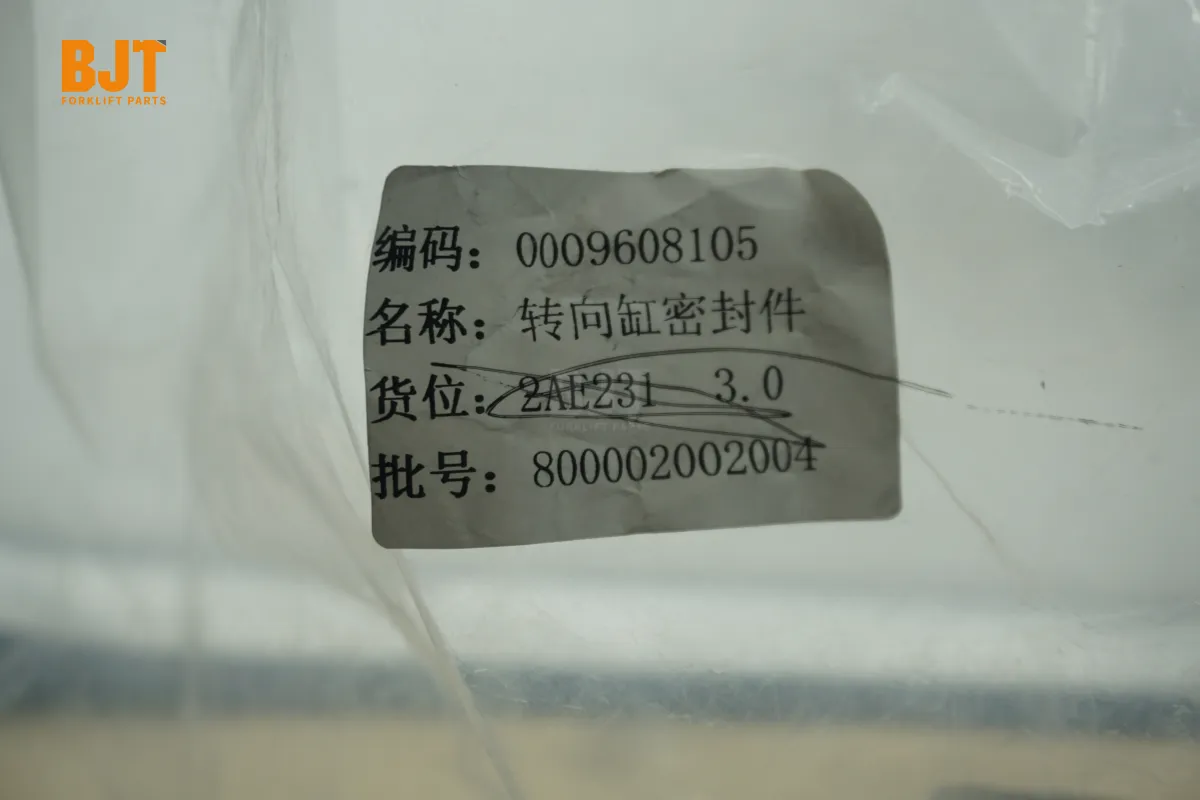 0009608105