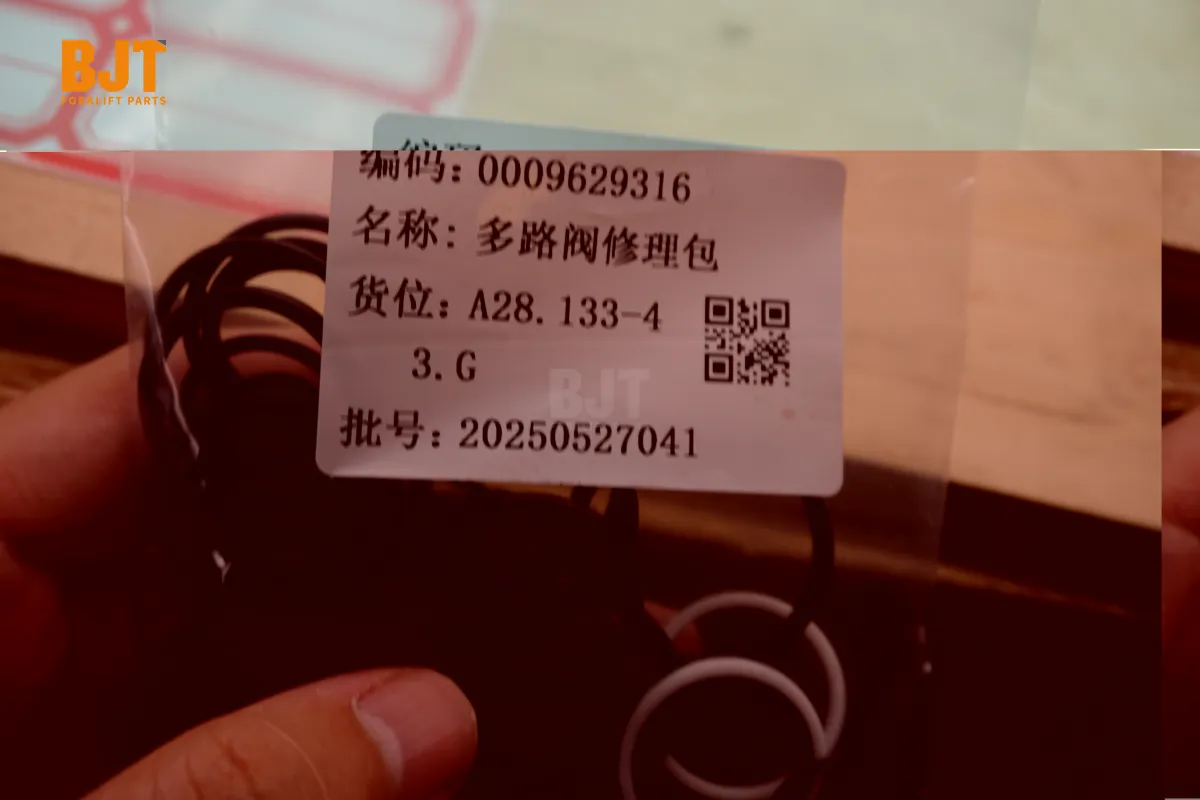 0009629316