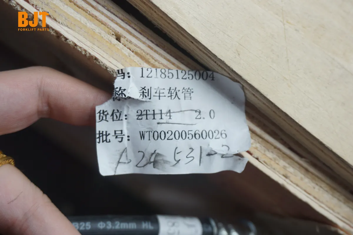 12185125004